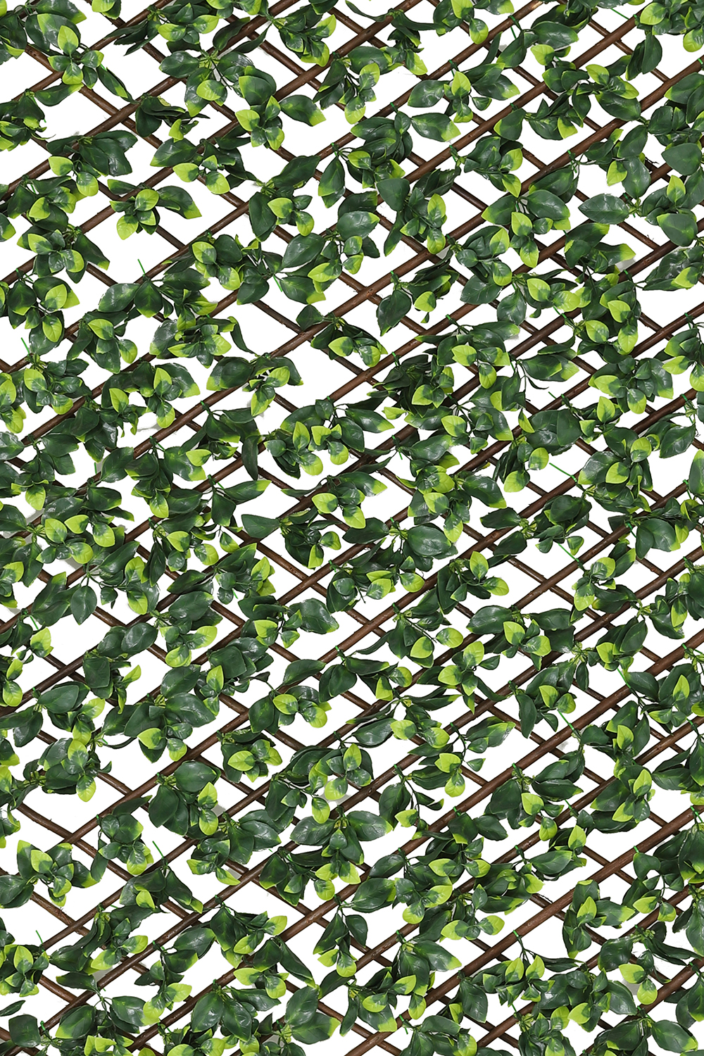 Extendable Artificial Hedging Single Ivy